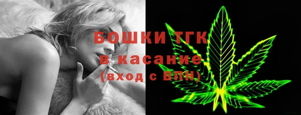 амф Дмитриев