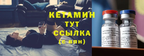 амф Дмитриев