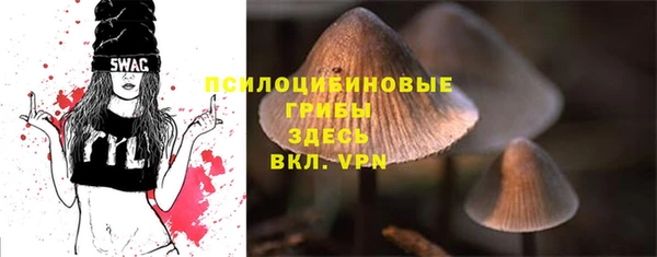 герыч Дмитровск