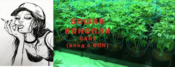 мяу мяу мука Дмитров