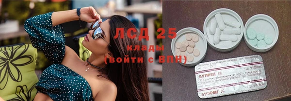 амф Дмитриев