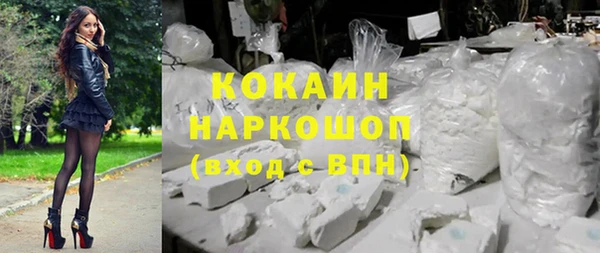 амф Дмитриев